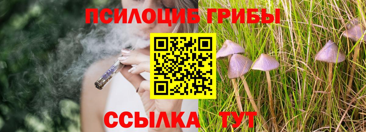 Псилоцибиновые грибы Magic Shrooms  Вход с VPN  Сосновый Бор 